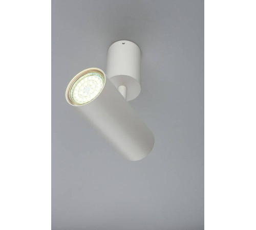 Спот Aployt Berenis APL.007.02.01