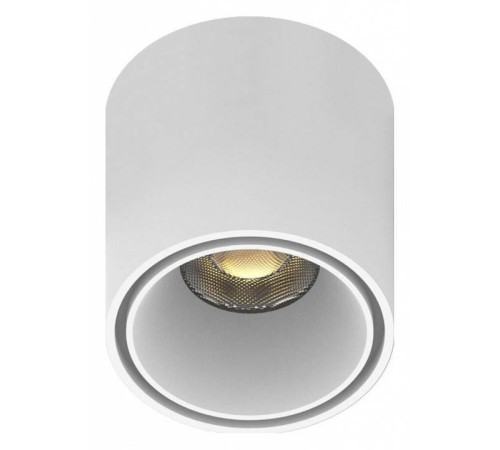 Накладной светильник Aployt Magnetic track 48 APL.0109.10.06