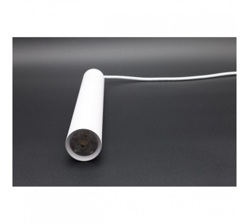 Подвесной светильник Aployt Magnetic track 220 APL.0207.10.10