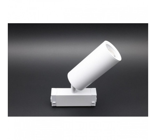 Светильник на штанге Aployt Magnetic track 220 APL.0209.11.01