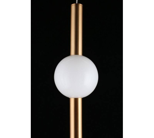 Подвесной светильник Aployt Zhozefin APL.038.06.12