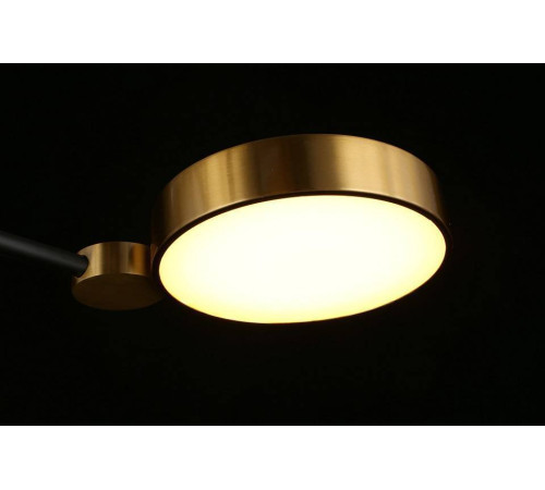 Потолочная люстра Aployt Ines APL.043.07.50