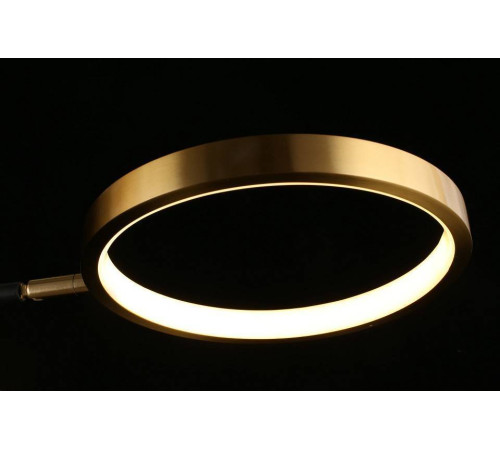 Потолочная люстра Aployt Ines APL.043.07.50