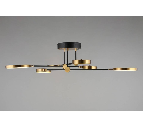 Потолочная люстра Aployt Ines APL.043.07.50