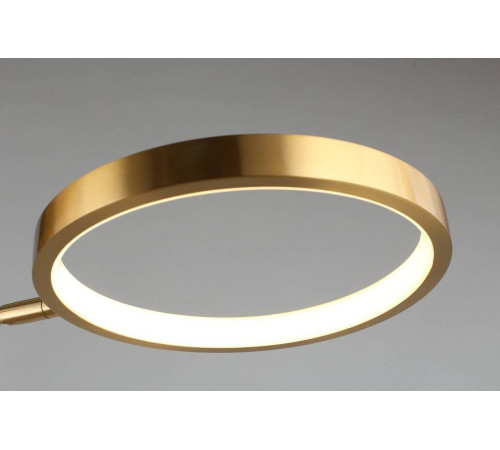 Потолочная люстра Aployt Ines APL.043.07.50