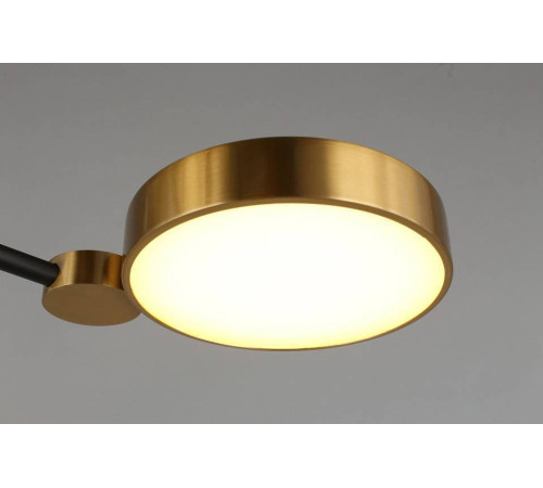 Потолочная люстра Aployt Ines APL.043.07.50