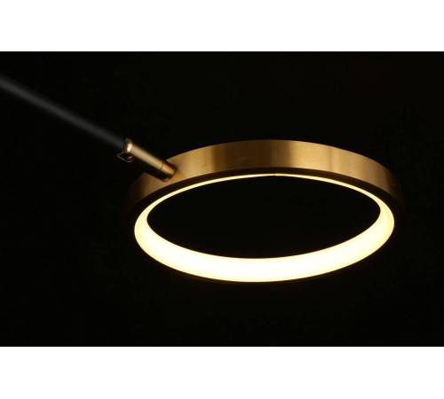 Потолочная люстра Aployt Ines APL.043.07.65