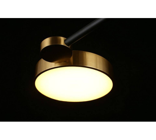 Потолочная люстра Aployt Ines APL.043.07.65