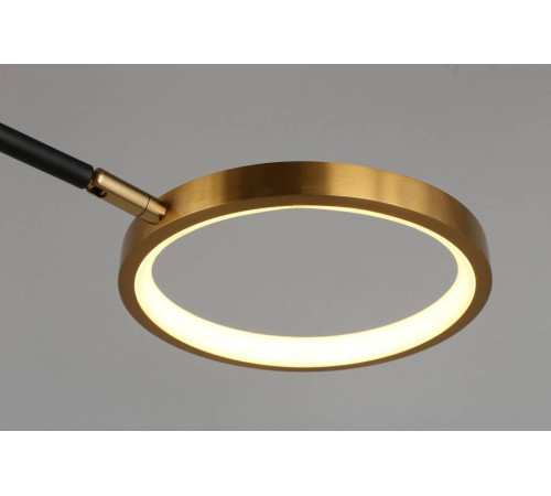 Потолочная люстра Aployt Ines APL.043.07.65