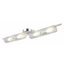 Накладной светильник Aployt Lusia APL.315.17.04