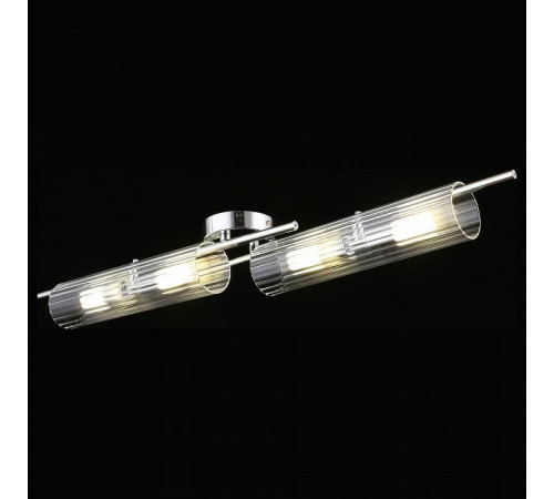 Накладной светильник Aployt Lusia APL.315.17.04