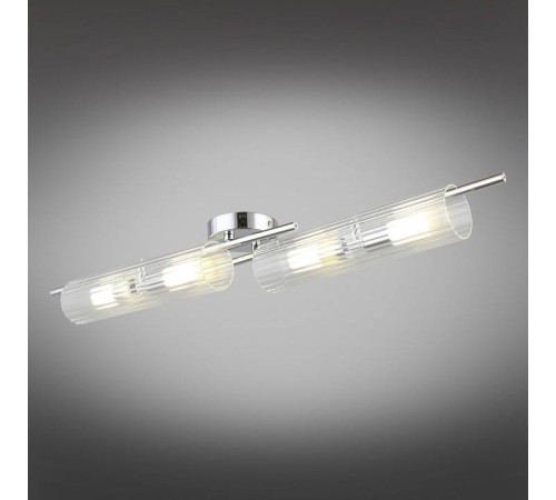 Накладной светильник Aployt Lusia APL.315.17.04