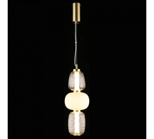 Подвесной светильник Aployt Simonet APL.318.06.29