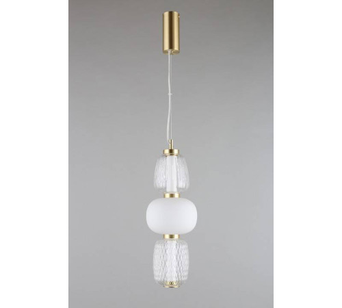 Подвесной светильник Aployt Simonet APL.318.06.29