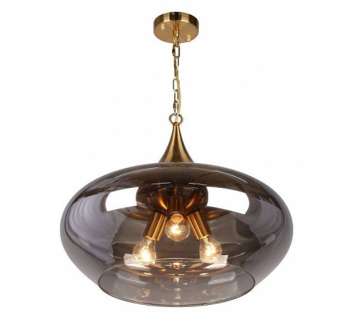 Подвесной светильник Aployt Franko APL.601.16.03