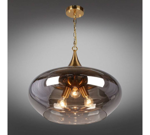 Подвесной светильник Aployt Franko APL.601.16.03