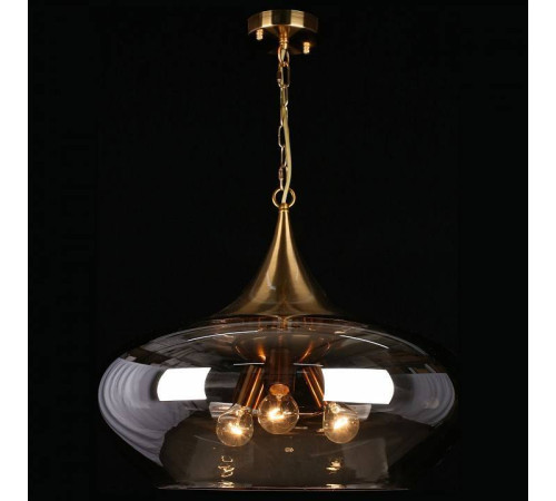 Подвесной светильник Aployt Franko APL.601.16.03