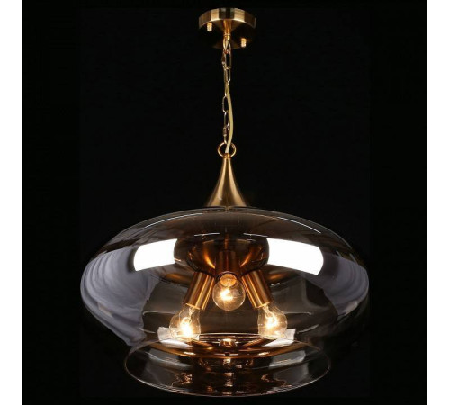 Подвесной светильник Aployt Franko APL.601.16.03