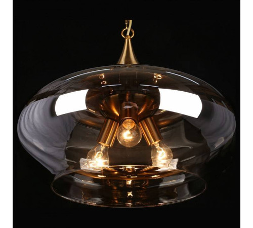 Подвесной светильник Aployt Franko APL.601.16.03