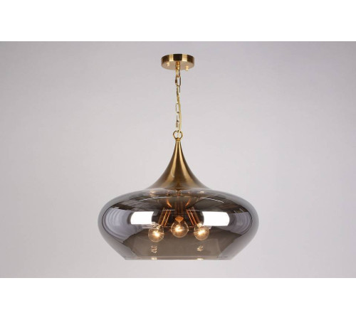 Подвесной светильник Aployt Franko APL.601.16.03