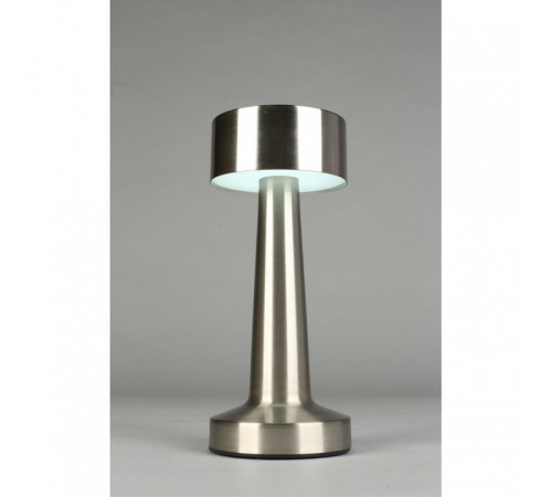 Настольная лампа декоративная Aployt Perrayn APL.671.14.01