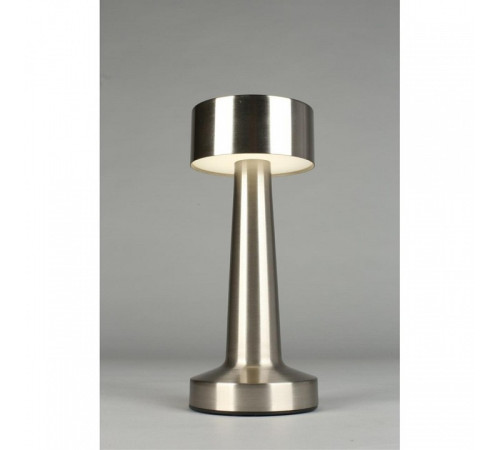 Настольная лампа декоративная Aployt Perrayn APL.671.14.01