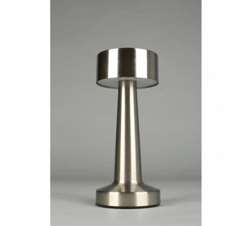 Настольная лампа декоративная Aployt Perrayn APL.671.14.01