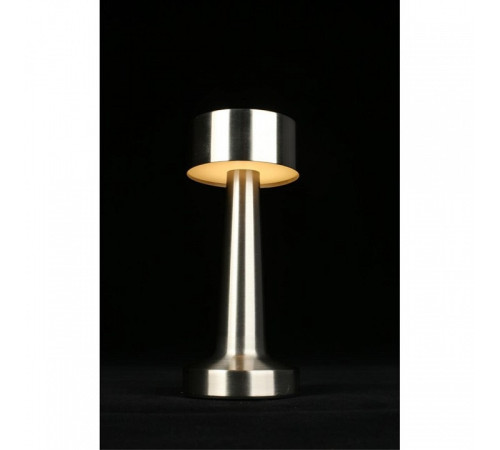 Настольная лампа декоративная Aployt Perrayn APL.671.14.01