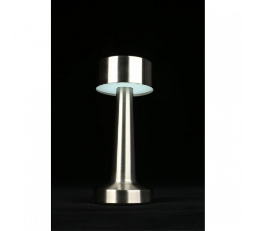 Настольная лампа декоративная Aployt Perrayn APL.671.14.01