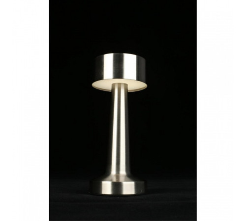 Настольная лампа декоративная Aployt Perrayn APL.671.14.01