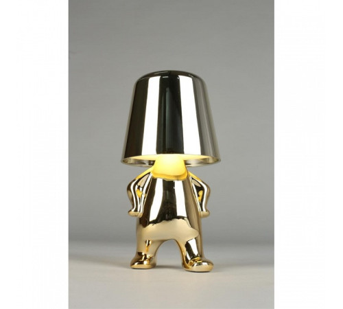 Зверь световой Aployt Ninet APL.672.04.01