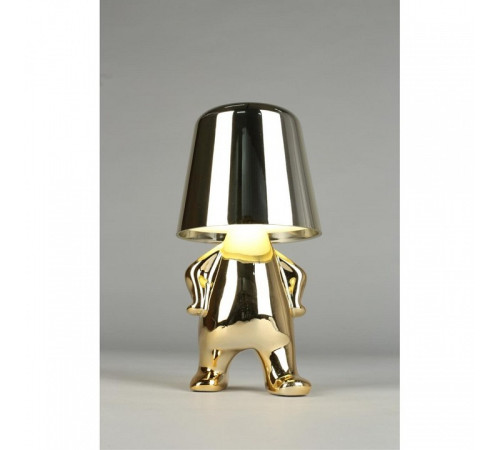 Зверь световой Aployt Ninet APL.672.04.01