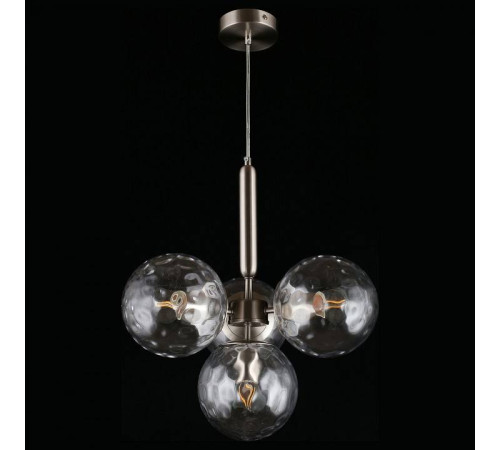 Подвесная люстра Aployt Lora APL.728.16.04