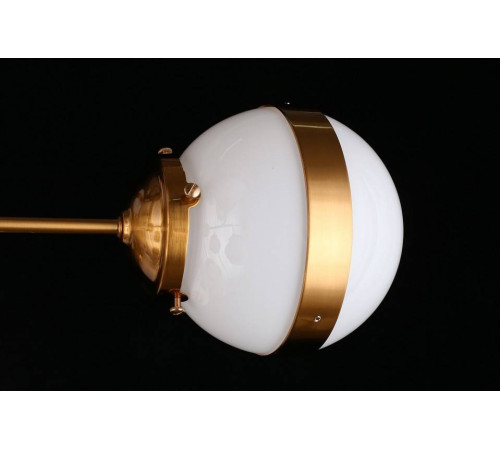 Люстра на штанге Aployt Nika APL.819.07.13