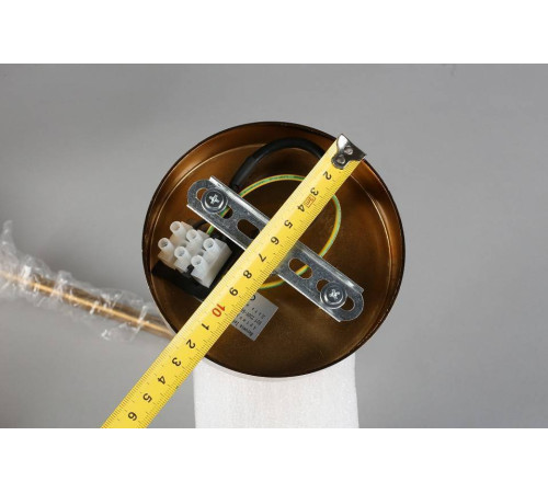 Люстра на штанге Aployt Nika APL.819.07.13