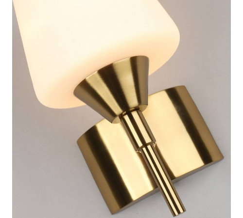 Бра Aployt Lyus APL.840.01.01