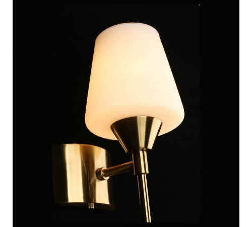 Бра Aployt Lyus APL.840.01.01