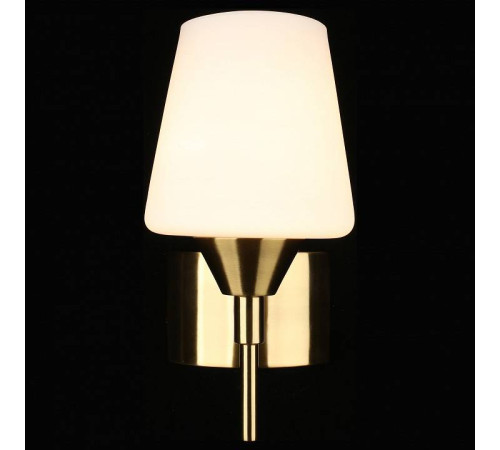 Бра Aployt Lyus APL.840.01.01