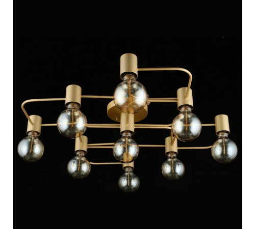 Потолочная люстра Aployt Elison APL.911.07.09