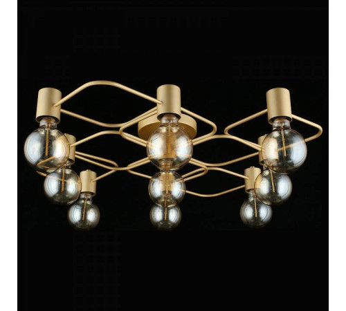 Потолочная люстра Aployt Elison APL.911.07.09