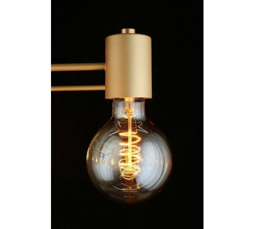 Потолочная люстра Aployt Elison APL.911.07.09