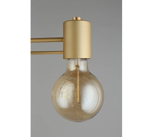 Потолочная люстра Aployt Elison APL.911.07.09