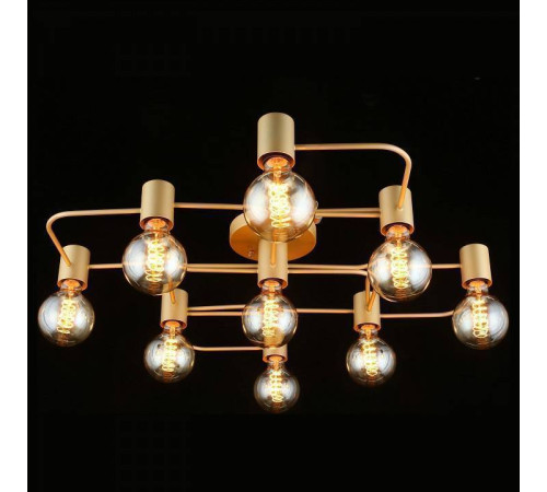 Потолочная люстра Aployt Elison APL.911.07.09