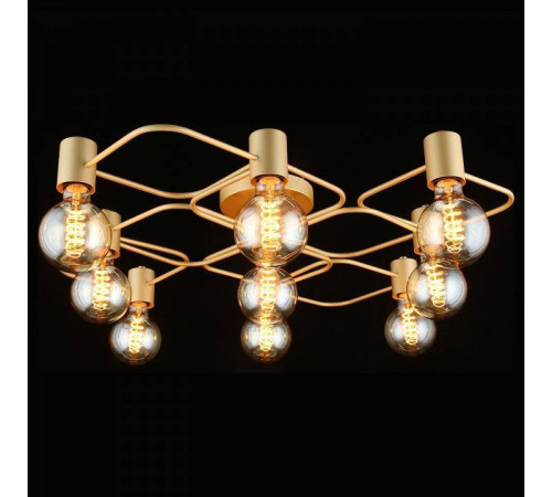 Потолочная люстра Aployt Elison APL.911.07.09