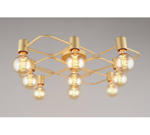 Потолочная люстра Aployt Elison APL.911.07.09