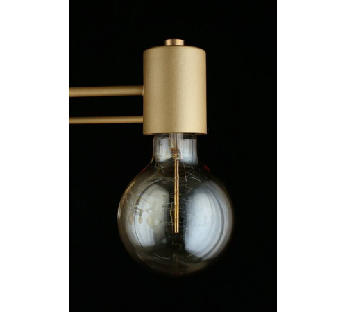 Потолочная люстра Aployt Elison APL.911.07.09