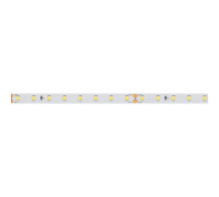 Лента светодиодная Arlight  024509(2)