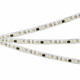 Лента светодиодная Arlight SPI-SE-A120-10mm 24V 049439