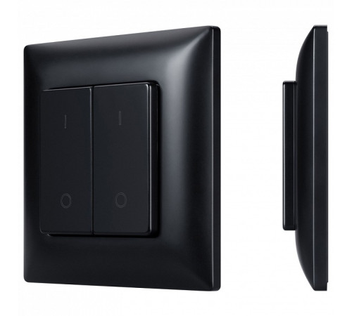 Выключатель двухклавишный Arlight INTELLIGENT 050446