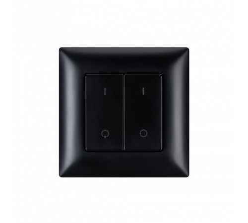 Выключатель двухклавишный Arlight INTELLIGENT 050446